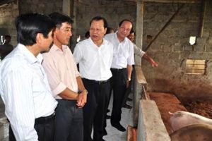 Phó Thủ tướng Vũ Văn Ninh thăm và làm việc tại Hà Nam